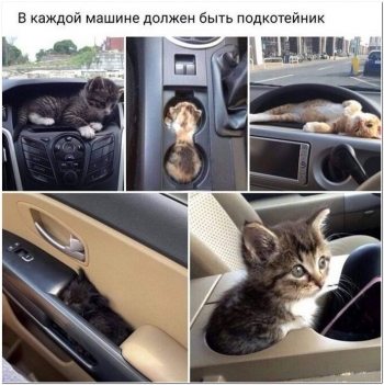Забавные фотографии. - «Фото приколы»