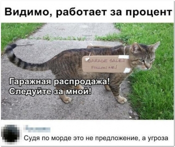 Забавные, интересные и смешные фотографии для хорошего настр - «Фото приколы»
