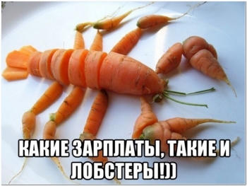 Фотографии с юмором для приятного просмотра и хорошего настр - «Фото приколы»