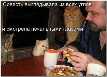 Очередная порция забавных, смешных и прикольных фо - «Фото приколы»