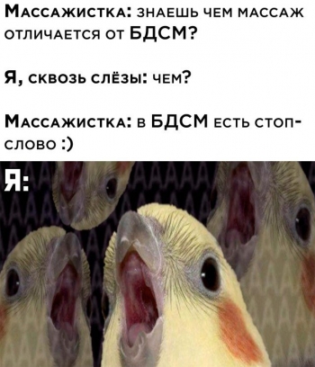 Подборка прикольных картинок и фотографий на 3 - «Фото приколы»