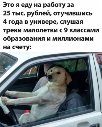 Подборка прикольных картинок и фотографий на 9 - «Фото приколы»