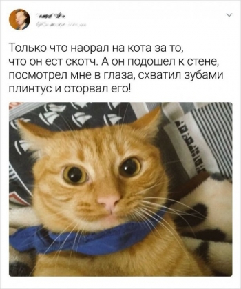 Пользователи социальных сетей, у которых дом - «Фото приколы»