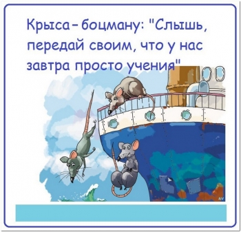 Смешные картинки с текстом для отличного настроения. См - «Фото приколы»