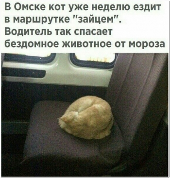Забавные, красивые и смешные фотографии, которыми - «Фото приколы»