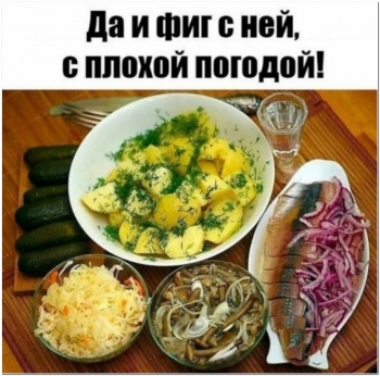 Немного пятничного алкогольного юмора. - «Фото приколы»