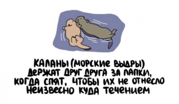 Свежая порция познавательной информации на самые разны - «Фото приколы»