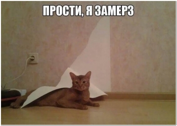 Очередная порция прикольных фотографий для позитивного настр - «Фото приколы»