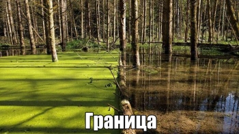 Подборка фотоприколов и прикольных картинок на сегодня. Прошл - «Фото приколы»