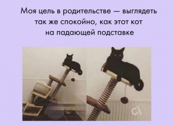 Пользователи Сети, которые уже успели стать родите - «Фото приколы»