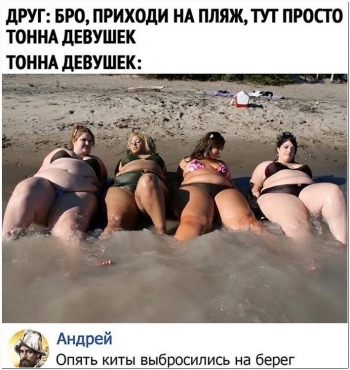 Прикольные фотографии для вашего внимания и отличного наст - «Фото приколы»