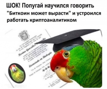 В последнее время очень популярным занятием стала - «Фото приколы»