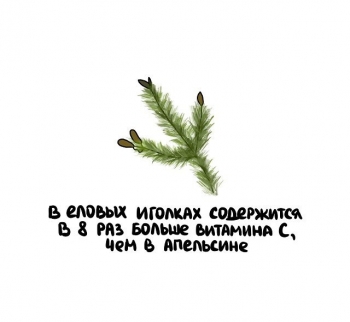 Очередной выпуск интересных фактов и познавательной информации на - «Фото приколы»