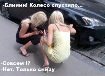 Подборка прикольных фото и картинок на сегодня. - «Фото приколы»