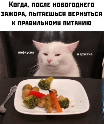 Подборка прикольных картинок и фотографий на 8 - «Фото приколы»