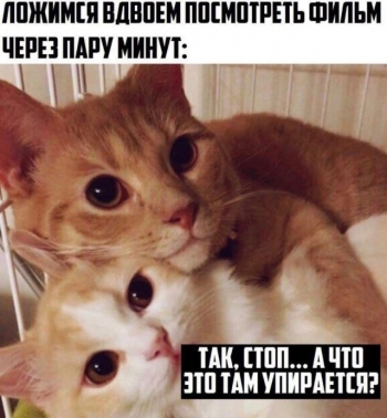 Пользователи Сети продолжают публиковать све - «Фото приколы»