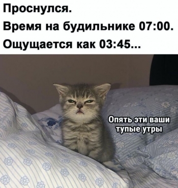 Свежая порция мемов и забавных картинок из Сети на р - «Фото приколы»
