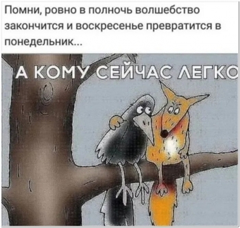 Картинки с приколами. Смотрим, скачиваем бесплатно и - «Фото приколы»