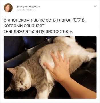 Пользователи социальных сетей делятся позитивными историями из - «Фото приколы»