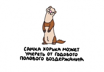 Свежая подборка интересных фактов и познавательной информации на - «Фото приколы»