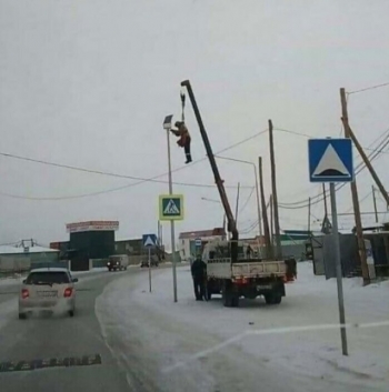Герои данного поста не сильно переживают нас - «Фото приколы»