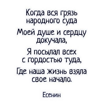 Самые смешные и прикольные картинки для хорошего н - «Фото приколы»