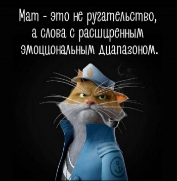 Самые смешные картинки с тестом для отличного наст - «Фото приколы»