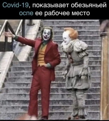 В последние дни стала активно распространяться тема про - «Фото приколы»