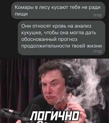 Смешные картинки с текстом для отличного настроени - «Фото приколы»