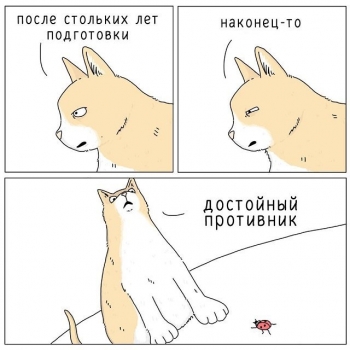 Автор данных комиксов решил немного пофантазировать и представить, - «Фото приколы»