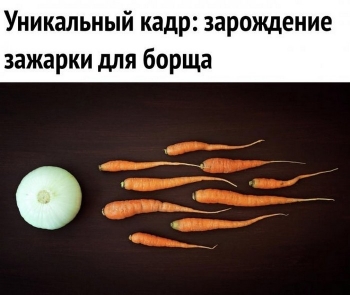 Юмор и шутки в прикольных картинках для хорошего н - «Фото приколы»