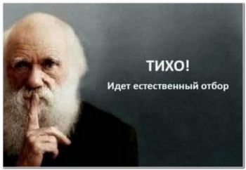 Картинки с шутками юмора для хорошего настроения. - «Фото приколы»