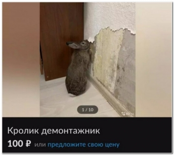 Прикольные фотографии для отличного настроения на - «Фото приколы»