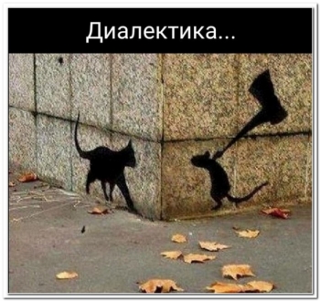 Подборка смешных фотографий для вашего внимания и - «Фото приколы»