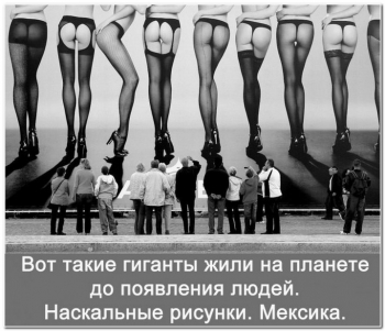 Прикольные и смешные фотографии. Смотрим и улыбаем - «Фото приколы»