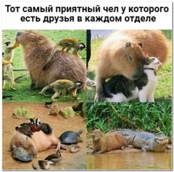 Шутки юмора в прикольных фотографиях. - «Фото приколы»