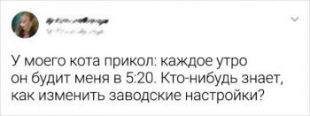 Пользователи социальных сетей делятся забавными историями - «Фото приколы»