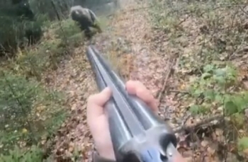 Охотник встретил медведицу с малышами - «Видео приколы»