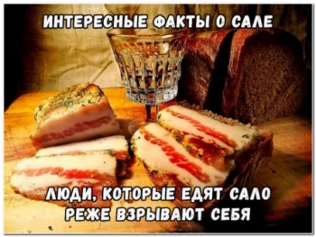 Прикольные картинки для хорошего настроения на кай - «Фото приколы»