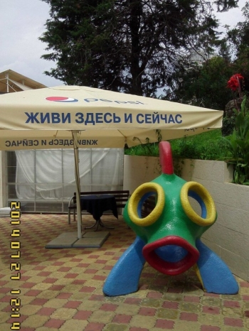 Подборка фотографий народного творчества, кот - «Фото приколы»