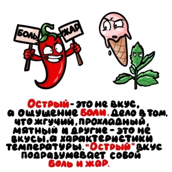 Свежая подборка интересных фактов и познавательной информа - «Фото приколы»