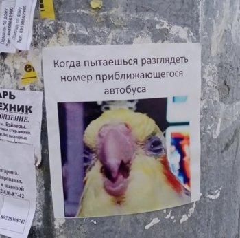 Подборка забавных объявлений, которые были замеч - «Фото приколы»