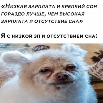 Свежий микс мемов и смешных картинок из Сети на самы - «Фото приколы»