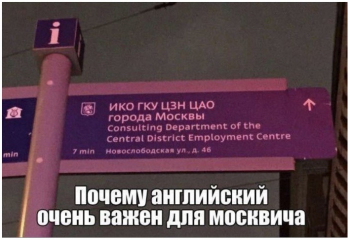 Прикольные фотографии с комментариями и без. Смотрим, улы - «Фото приколы»