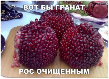 Прикольные фотографии с описанием и без для отличного наст - «Фото приколы»