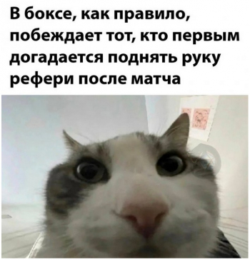 Прикольные картинки! Смотрим. - «Фото приколы»