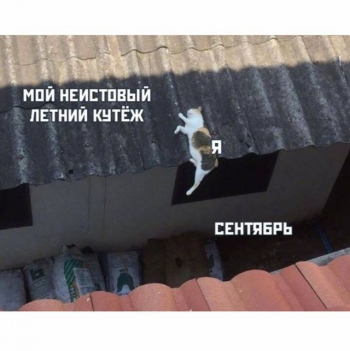 К сожалению, лето подошло к концу, и впереди долгие - «Фото приколы»