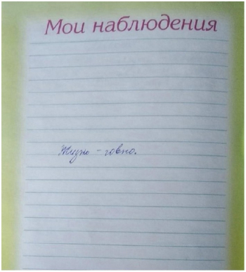Смешные фотографии для вашего внимания и хорошего - «Фото приколы»