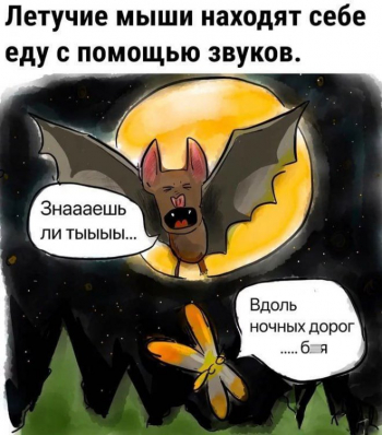 Свежая подборка шуток, мемов и смешных картинок на актуаль - «Фото приколы»