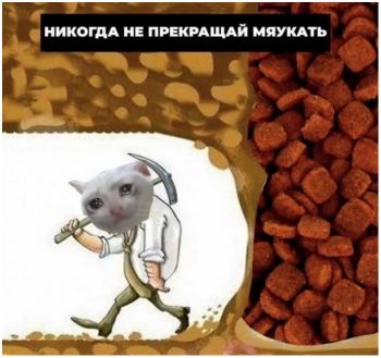 Очередная подборка юмора и приколов на кайфолог.не - «Фото приколы»
